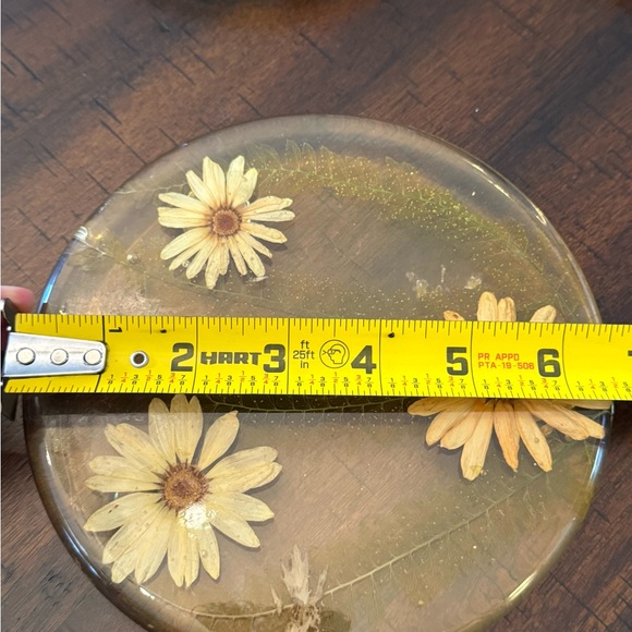 Vintage 50s lucite pressed flower coasters trivet set European antique home - Picture 6 of 14